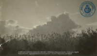 Schemering over de maisvelden - Fields of Maize at twilight - Crepuscele sebre las Maizales (Dr. Johan Hartog Collection), [Teunisse, Simon Johan]