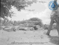 Commandeursgraven Seroe Patrishi/Shiribana (Dr. Johan Hartog Collection), Gouvernement Kolonie Curaçao/Nederlandse Antillen