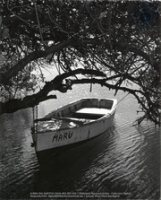 Album: Aanzichten - Aruba (Dr. Johan Hartog Collection)