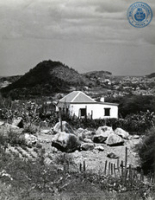 Album: Landschappen - Aruba (Dr. Johan Hartog Collection)