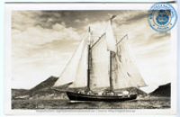 Sailboat on the coast of St. Martin. : Beeldcollectie Dr. Johan Hartog, St. Martin/Sint Maarten, no. 001-06-024