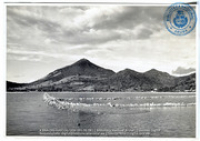 Gezicht op Naked Bay and Salt Ponds : Beeldcollectie Dr. Johan Hartog, St. Martin/Sint Maarten, no. 001-06-081