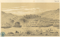 Tab. XV. Die Boca von Daimarie, an der Nordküste Arubas (1887)