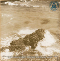 Seascape (#4737, Lago , Aruba, April-May 1944), Morris, Nelson