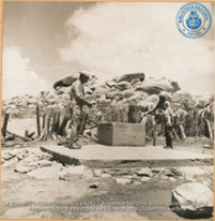 Water well in Aruba back country (#4742, Lago , Aruba, April-May 1944), Morris, Nelson