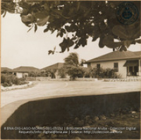 Bungalows in Lago Colony (#5152, Lago , Aruba, April-May 1944), Morris, Nelson