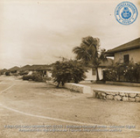Bungalows in Lago Colony (#5155, Lago , Aruba, April-May 1944), Morris, Nelson