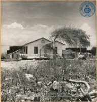 Cottage in Lago Heights (#5256, Lago , Aruba, April-May 1944), Morris, Nelson