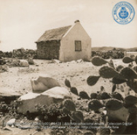 Old Aruban mud hut being transformed into concrete buidling (#5428, Lago , Aruba, April-May 1944)