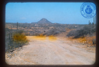 Help us describe this picture! (Aruba Scenes I, Lago, ca. 1982), Lago Oil and Transport Co. Ltd.