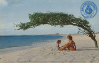 Aruba?s finest beach where swimming is a real pleasure (Postcard, ca. 1962)