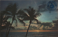 Sun on the horizon in Aruba, silhouettes the swaying palms on Aruba?s famous Palm Beach (Postcard, ca. 1962)
