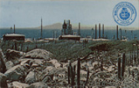 Country view with Lago's oil refinery in background (Postcard, ca. 1962)