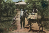 Aruban Plantation (P.S.) (Postcard, ca. 1962)