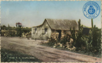 Aruba N.A. Country scene (Postcard, ca. 1962)