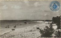 Palm Beach (Postcard, ca. 1962)