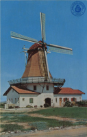 De Olde Molen (Postcard, ca. 1962)