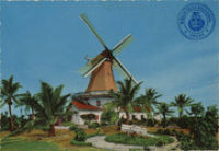 View on the Olde Molen, Aruba, Netherlands Antilles (Postcard, ca. 1967)