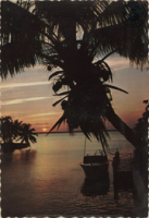 The Sunny Caribbean. Tropical Caribbean Sunset (Postcard, ca. 1968)