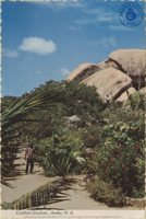 Casibari Gardens, Aruba, Netherlands Antilles (Postcard, ca. 1969) This magnificent rock formation and garden, maintained as a park by the government, offers visitors a breathtaking view of the countryside