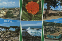 Aruba, Netherlands Antilles (Postcard, ca. 1971) Oranjestad Harbour and Government Buildings, Flowers, Beaches, Divi-divi trees, North Coast, cunucu house.