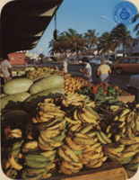 Aruba's Fruit Market at Oranjestad Harbour (Postcard, ca. 1976) Early morning shippers have a large array of fruits and vegetables at stands around the dock in Oranjestad