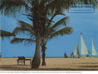 Aruba. Beach scene (Postcard, ca. 1980-1986) Palm trees, beaches and sailing, Aruba