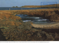 The world famous Natural Bridge (Postcard, ca. 1980-1986)