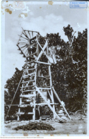 Native Windmill Aruba D.W.I.