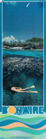 Poster: Bonaire (BNA Poster Collection # 061)