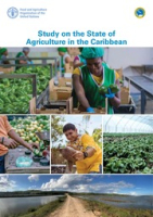 Study on the State of Agriculture in the Caribbean, Array
