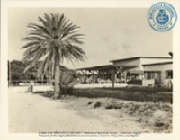Palm Beach Club, Aruba, Netherlands Antilles (1955)