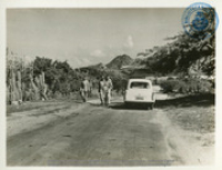 Country Sight, Aruba, Netherlands Antilles (1955)