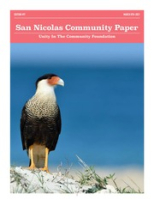 San Nicolas Community Paper (March 8, 2021), Unity In The Community Foundation