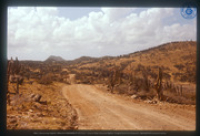 Landweg, Arikok, met Hooiberg in achtergrond, Vredebregt, Casper