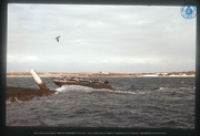 Scheepswrak SS Antilla (1939) voor de kust van Malmok/Boca Catalina, Aruba, Vredebregt, Casper