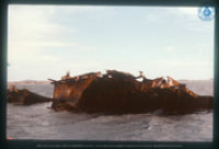 Scheepswrak SS Antilla (1939) voor de kust van Malmok/Boca Catalina, Aruba, Vredebregt, Casper