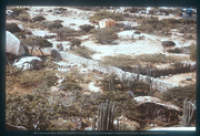 Landschap gezien vanaf rotsformatie te Casibari, Aruba, met stenen transhi-muur, cactus-omheining en cunucuhuis in achtergrond, Vredebregt, Casper