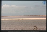 Waterlandschap, Bonaire, Vredebregt, Casper