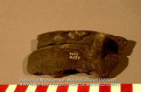 Fragment (Collectie Wereldculturen, RV-1403-127)