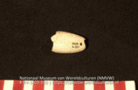 Lepel? (fragment) (Collectie Wereldculturen, RV-1403-310)
