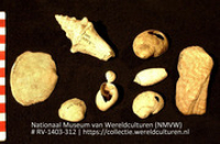 Schelpen (Collectie Wereldculturen, RV-1403-312)