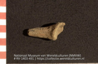 Fluit? (fragment) (Collectie Wereldculturen, RV-1403-491)
