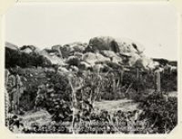 Rotsachtig landschap met cactussen nabij Ayo op het eiland Aruba (Collectie Wereldculturen, RV-A115-2-10), De Goeje, C.H.