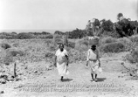 Wasvrouwen, Fontein, Aruba (Collectie Wereldculturen, TM-10021431)