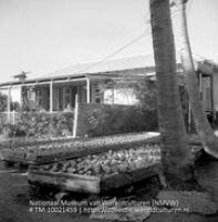 Chinese groentenkwekerij bij Boca Prins op Aruba (Collectie Wereldculturen, TM-10021459)