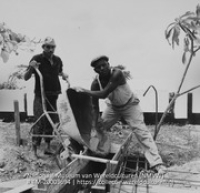 Arbeiders werken aan de bouw van het Strandhotel (Collectie Wereldculturen, TM-20003694), Lawson, Boy (1925-1992)