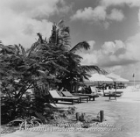 Het terras van het Aruba Carribbean Resort aan de J.E. Irausqiun Boulevard, Palm Beach (Collectie Wereldculturen, TM-20003718), Lawson, Boy (1925-1992)