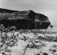 Noordkust met cactussen op het strand en hoge rotsen (Collectie Wereldculturen, TM-20003752), Lawson, Boy (1925-1992)