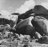 Landschap bij Casibari (Collectie Wereldculturen, TM-20003753), Lawson, Boy (1925-1992)